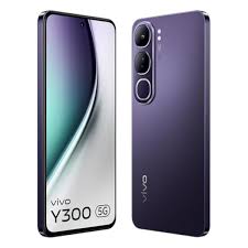 vivo Y300